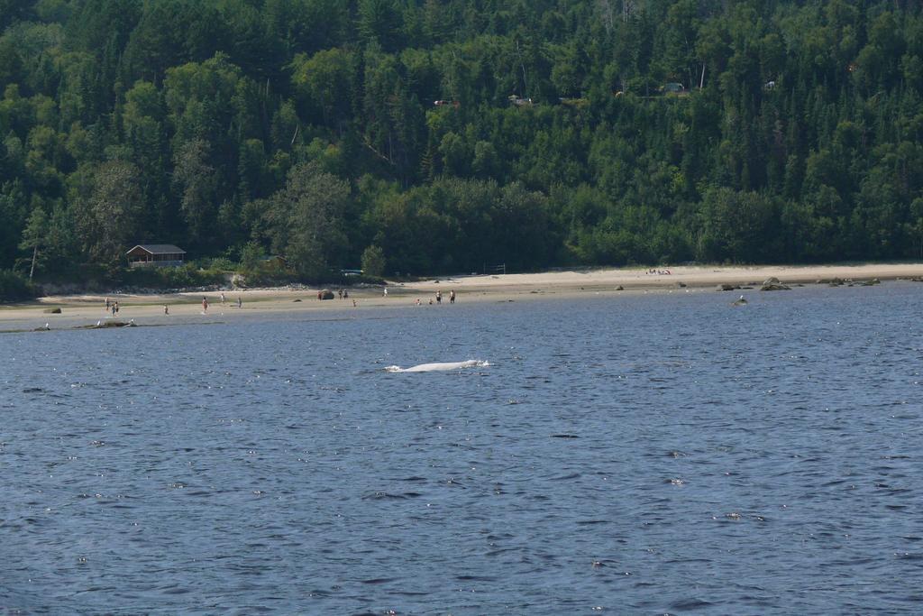 Riviere Petit Saguenay Villa Bagian luar foto