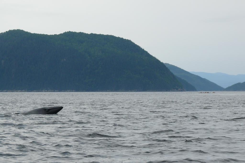 Riviere Petit Saguenay Villa Bagian luar foto